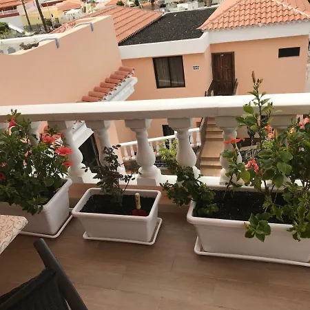 Casa Marylin Tenerife 아데제